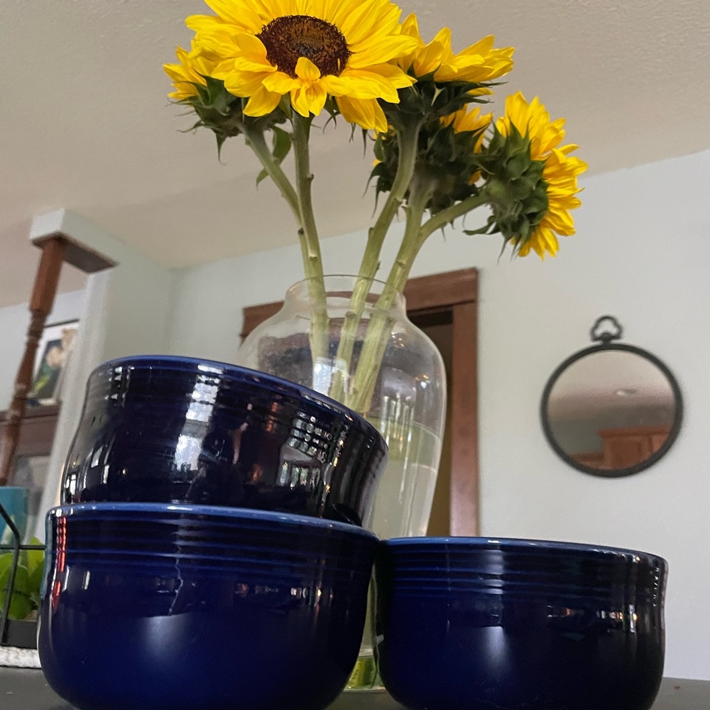 Colbalt Fiestaware Gusto Bowls